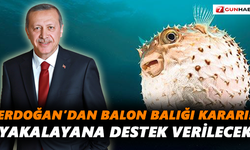 Erdoğan’dan balon balığı kararı! Yakalayana destek verilecek