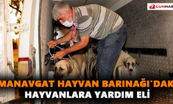 Manavgat Hayvan Barınağı'daki hayvanlara yardım eli