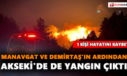 Manavgat ve Demirtaş’ın ardından Akseki'de de yangın çıktı