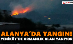 Alanya’da yangın! Yeniköy’de ormanlık alan yanıyor