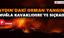 Aydın'daki orman yangını Muğla Kavaklıdere'ye sıçradı