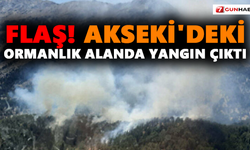 FLAŞ! Akseki'deki ormanlık alanda yangın çıktı