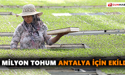 3 milyon tohum Antalya için ekildi