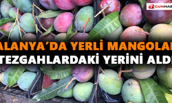 Alanya’da yerli mangolar tezgahlardaki yerini aldı