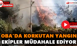 Oba Karakocalı'da korkutan yangın! Ekipler müdahale ediyor