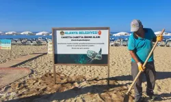 Alanya Belediyesi’nden Caretta Carettalara Özel Çalışma