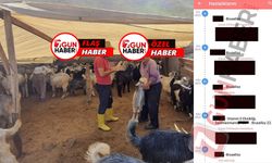 Flaş İddia! Alanya’da Hayvan Hastalıkları Köylülere Bulaştı