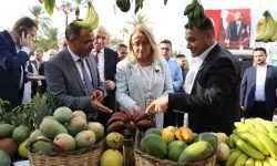 Alanya Belediyesi Tropikal Meyve Festivali’ne Hazırlanıyor