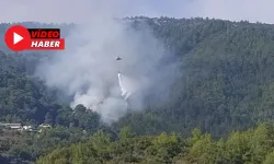 Alanya’da Ormanlık Alanda Yangın Paniği!