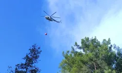 Alanya’da Ormanlık Alandaki Yangın Kontrol Altında