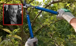 Alanya’da Ağaç Budamak İsterken Hayatını Kaybetti