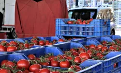 Antalya’da Sebze Miktarının Azalması Fiyatları Artırıyor