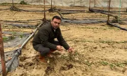Alanya’da Gece Etkili Olan Yağış Seraları Vurdu!