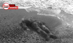 Antalya’da Neler Oluyor! Serik’te 2 Ceset Daha Sahile Vurdu