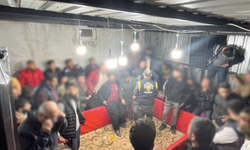 Alanya’da Horoz Dövüşü Operasyonu! Kumar Oynatıldığı Tespit Edildi