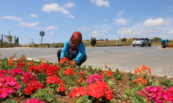 Alanya Çiçek Bahçesine Dönüşüyor! Belediye Ekipleri Çiçek Dikimlerine Başladı