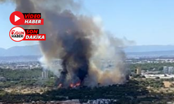 Antalya Lara’da Orman Yangını! Havadan Karadan Müdahale Sürüyor