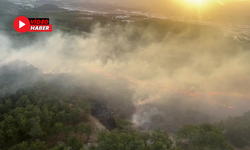 Antalya’da Orman Yangını Paniği! Gece Başlayan Orman Yangını Sabah Kontrol Altına Alındı