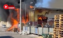 Antalya'da Korkutan Yangın! Halk Ekmek Fabrikasının Deposu Alev Alev Yandı