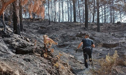 Antalya’da Çıkan Orman Yangınlarındaki Kundaklama Ve Sabotaj ‘Zeytin'in Burnundan Geçiyor