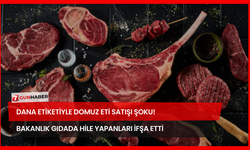 Dana Etiketiyle Domuz Eti Satışı Şoku! Bakanlık Gıdada Hile Yapanları İfşa Etti