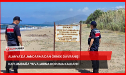 Alanya'da Jandarma'dan Örnek Davranış! Kaplumbağa Yuvalarına Koruma Kalkanı!
