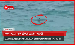 Konyaaltı'nda Köpek Balığı Paniği! Vatandaşlar Şaşkınlıkla İzledi Kimileri Taş Attı