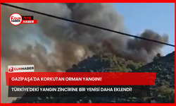 Gazipaşa'da Korkutan Orman Yangını! Türkiye'deki Yangın Zincirine Bir Yenisi Daha Eklendi!