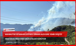 Mahmutseydi Mahallesi'nde Orman Alevlere Yenik Düştü! Hem Hava Hem Kara Müdahalesi Sürüyor