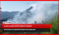 Alanya Kızılalan'da Orman Yangını! Havadan ve Karadan Müdahale Başladı!