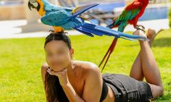 Antalya Valiliği’nden Dikkat Çeken Karar: Alanya’da Fotoğraf Dönemi Sona Erdi