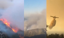Muğla’da Orman Yangını Devam Ediyor: 7 Ayrı Yangına Müdahale Sürüyor
