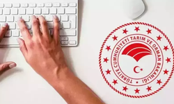 Antalya'da Gıda Güvenliği Alarmı Verilirken Alanya Ne Durumda?