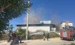 Alanya’da Konaklı Mahallesi'nde Çıkan Yangın Paniğe Sebep Oldu