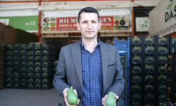 Başkan Sevilgen İthalat Avokado İddialarını Yalanladı