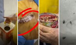 Gaziantep'te Pastaneye Yapılan Denetimde Şok Görüntüler!