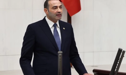 CHP’li Aykut Kaya: ''Yerli Muz Korumasız Kaldı, Çiftçi Ayakta Durmakta Zorlanıyor”