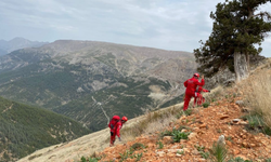 Antalya’da Hafta Sonu Yürüyüşü Faciadan Döndü