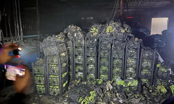 Alanya Demitaş'da Muz Deposunda Yangın: Tonlarca Ürün Kül Oldu