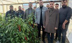 CHP’li Vekil Kaya’dan Serik’te Çarpıcı Tablo: “Toplama Maliyeti Satışı Geçti”