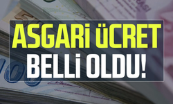 Çalışma Ve Sosyal Güvenlik Bakanı Vedat Işıkhan Yeni Asgari Ücreti Açıkladı