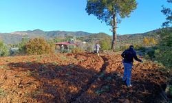 Ata Tohumları Gazipaşa’da Geleceğe Taşınıyor