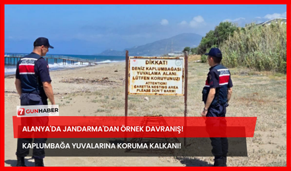 Alanya'da Jandarma'dan Örnek Davranış! Kaplumbağa Yuvalarına Koruma Kalkanı!