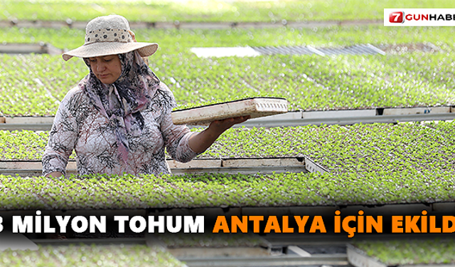 3 milyon tohum Antalya için ekildi