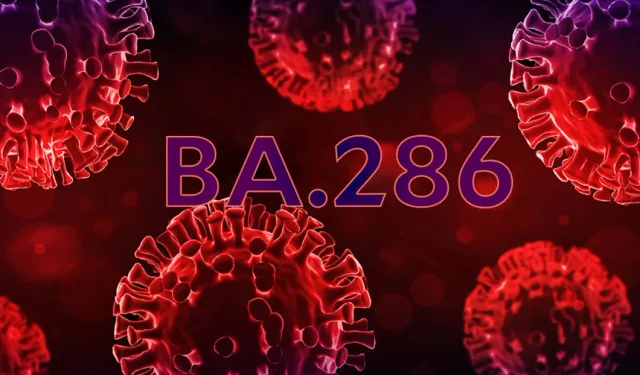 Koronavirüsün Alt Varyantı BA.2.86’dan Korunmak İçin Neler Yapmalı?