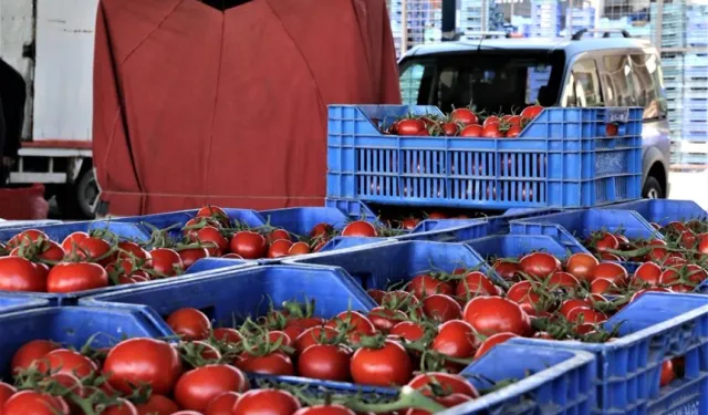Antalya’da Sebze Miktarının Azalması Fiyatları Artırıyor
