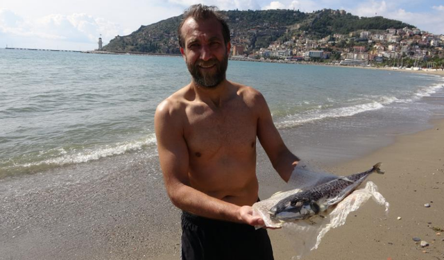 Alanya’da Denize Giren Vatandaş Şok Yaşadı! "İlk Defa Bir Balon Balığıyla Karşılaştım’’