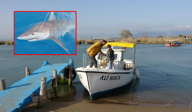 Antalya’da Kuzu Balığı Beklerken Köpek Balığı Denk Geldi