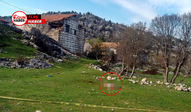 Antalya’da Çoban Köpekleri Saldırdı! Yaşlı Kadın Hayatını Kaybetti