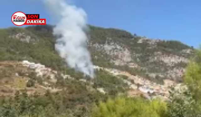 Alanya'da Orman Yangını Alarmı! Tepe Mahallesi'nde Yangın Çıktı